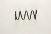 BILSTEIN 36-216703 Coil Spring